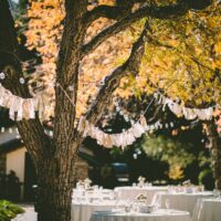Backyard wedding on a budget